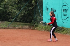IMG_1105_800x533